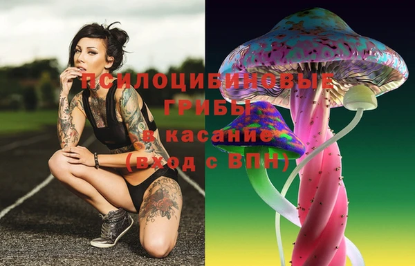 ешки Баксан