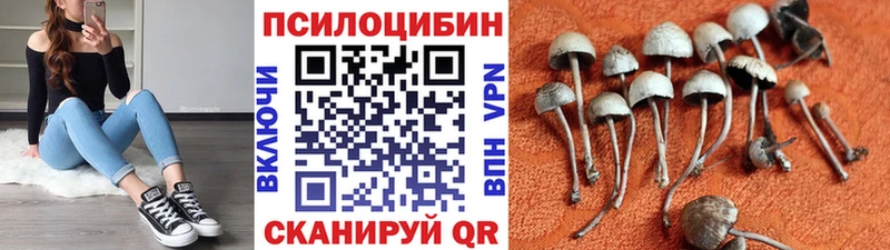 shop какой сайт  Сосновоборск  Псилоцибиновые грибы Cubensis  купить наркотик 